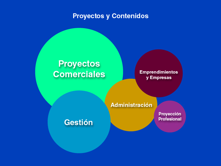 Presentación Visual licnegocio 4